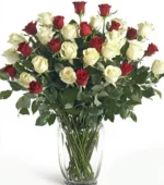 24 White Roses