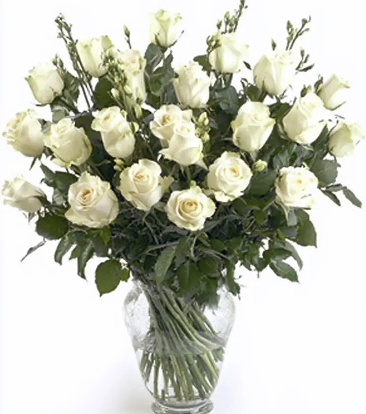 24 White Roses