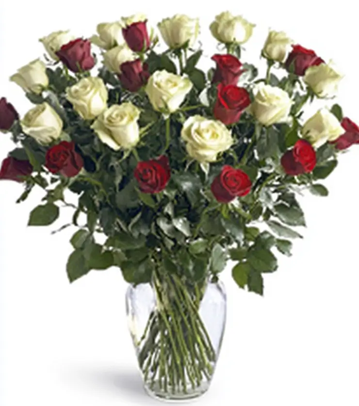 24 White Roses
