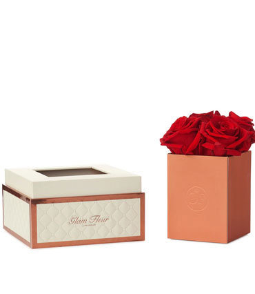 Montage Petite Light Red