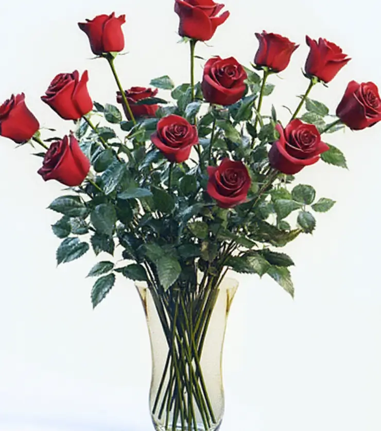 A Rose by Any Other Name
