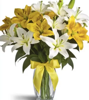 Brighten Their Day