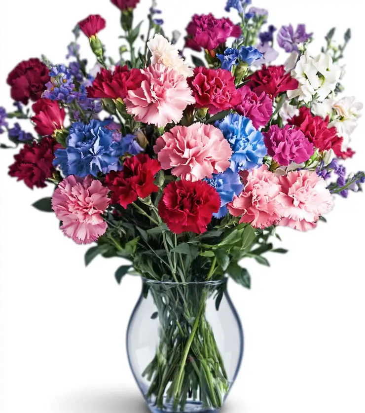Brighten Their Day