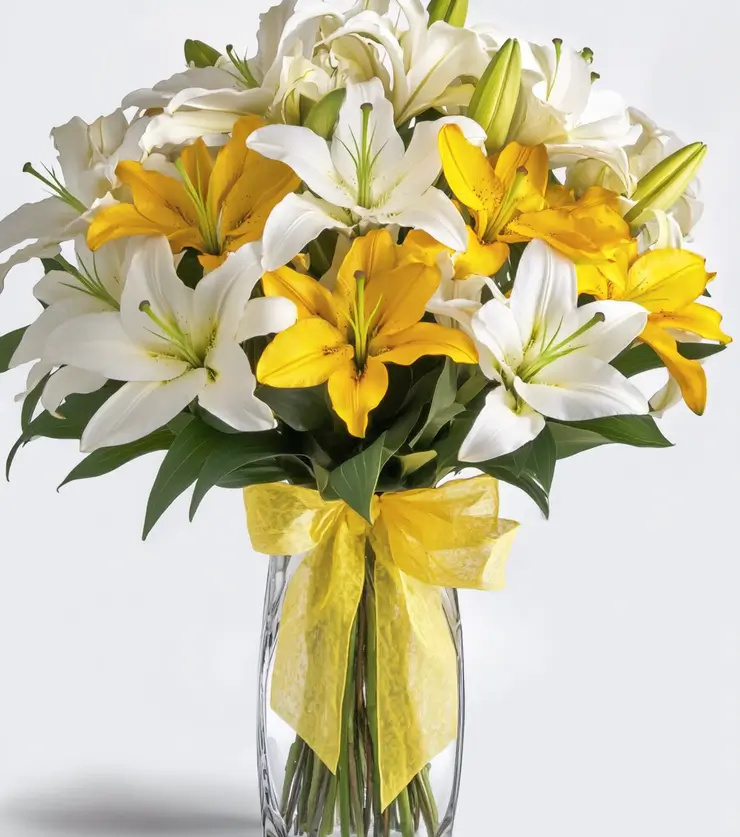Brighten Their Day
