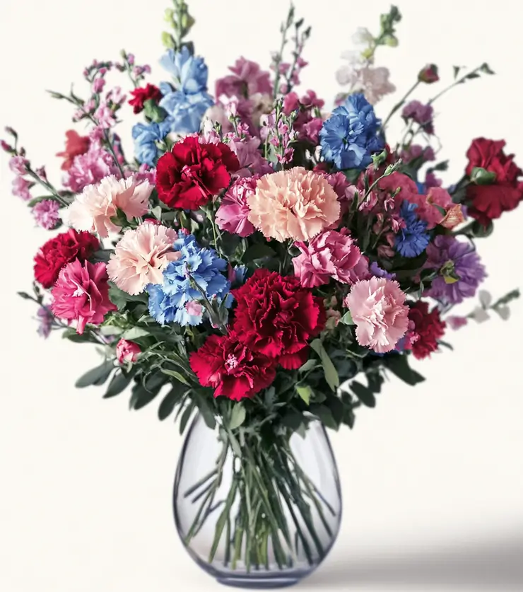 Brighten Their Day