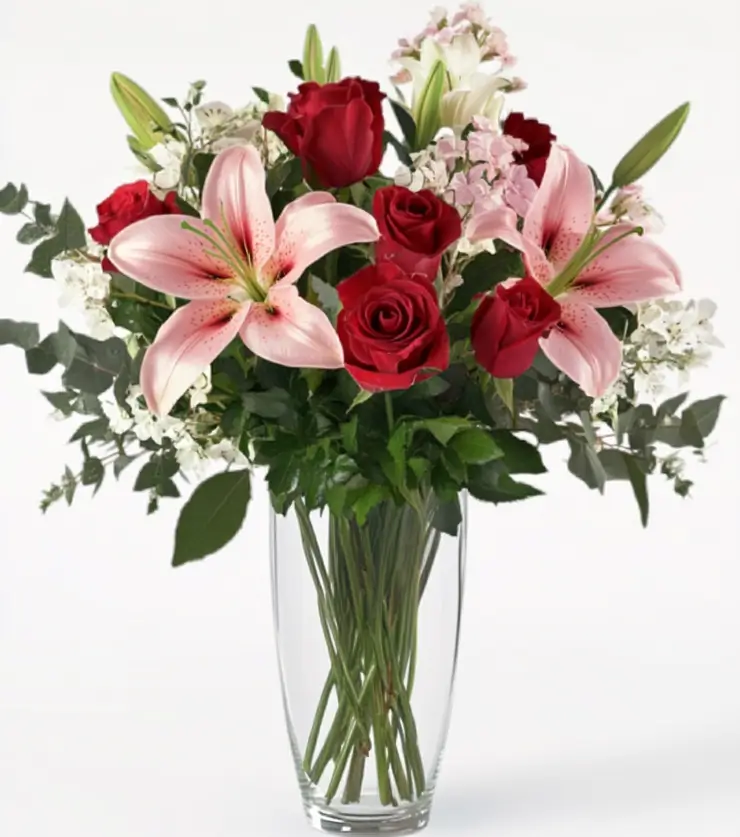 Colorful Blooms