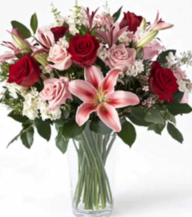 Colorful Blooms