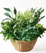 Exotic Arrangement