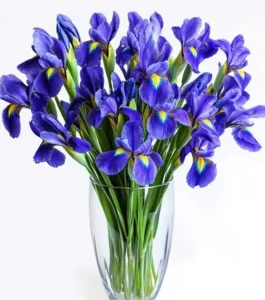 Florist Bouquet