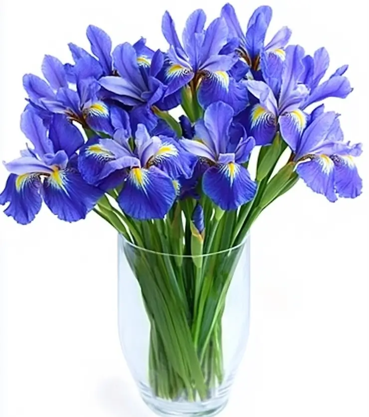 Florist Bouquet