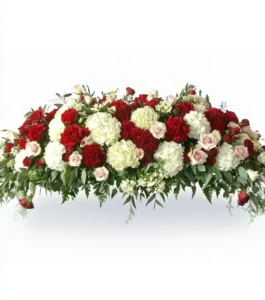 Heavenly Red and White Cover