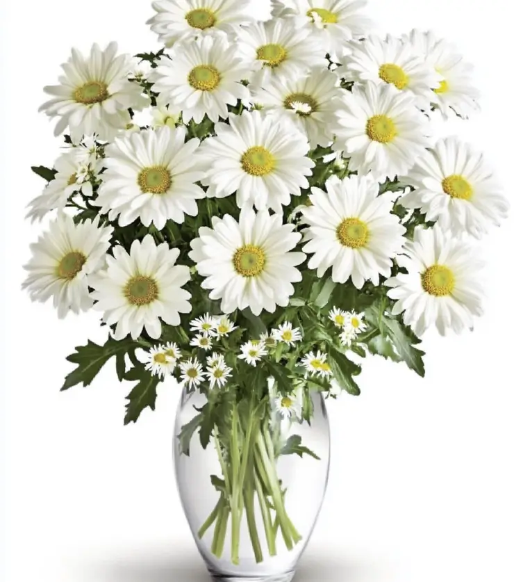 innocence Mums