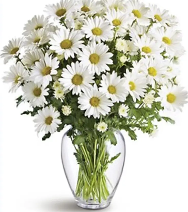 innocence Mums