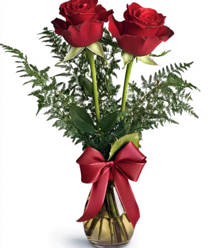 Luxurious Roses
