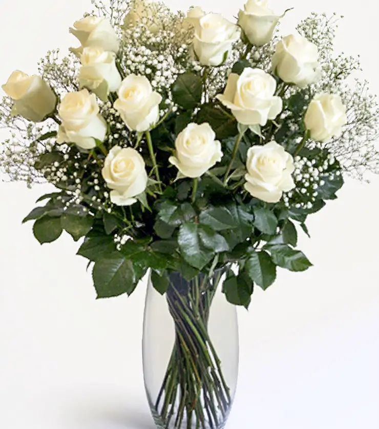 One Dozen White Roses