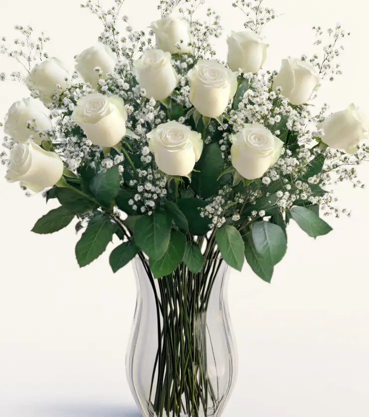 One Dozen White Roses