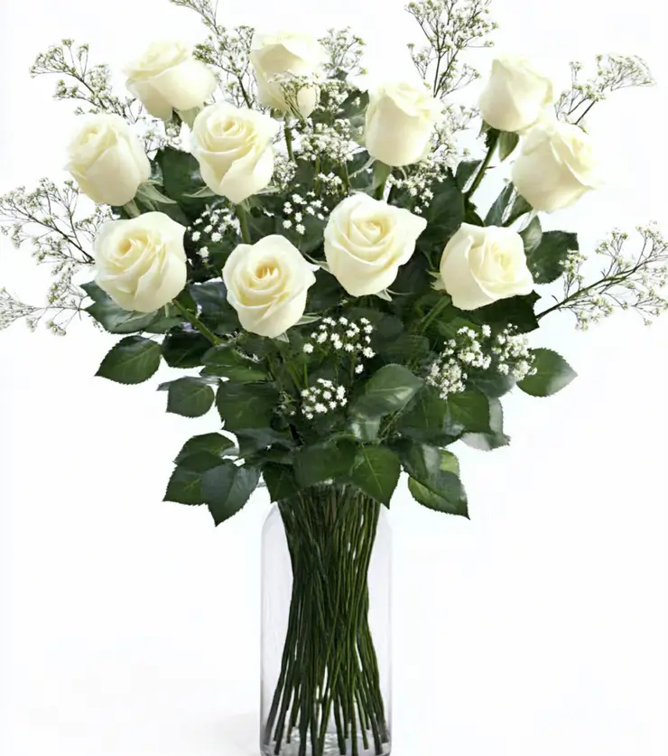 One Dozen White Roses