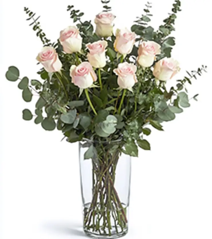 One Dozen White Roses