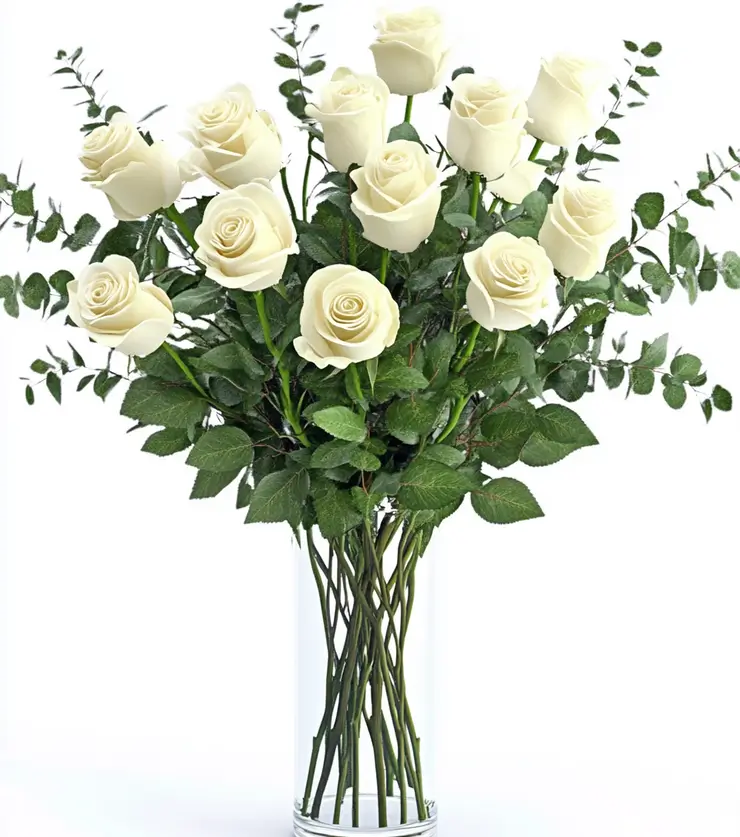 One Dozen White Roses