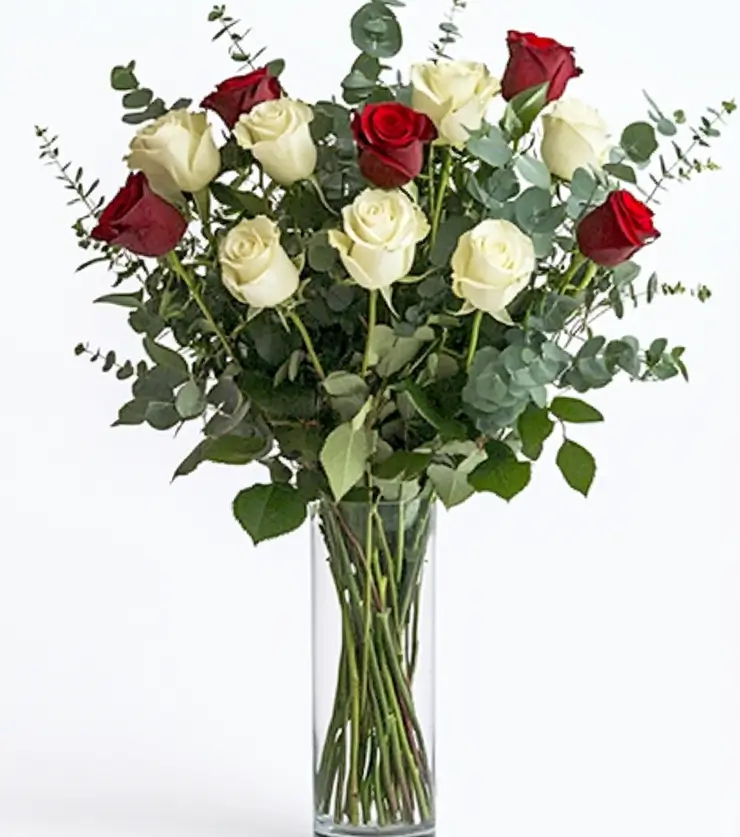 One Dozen White Roses