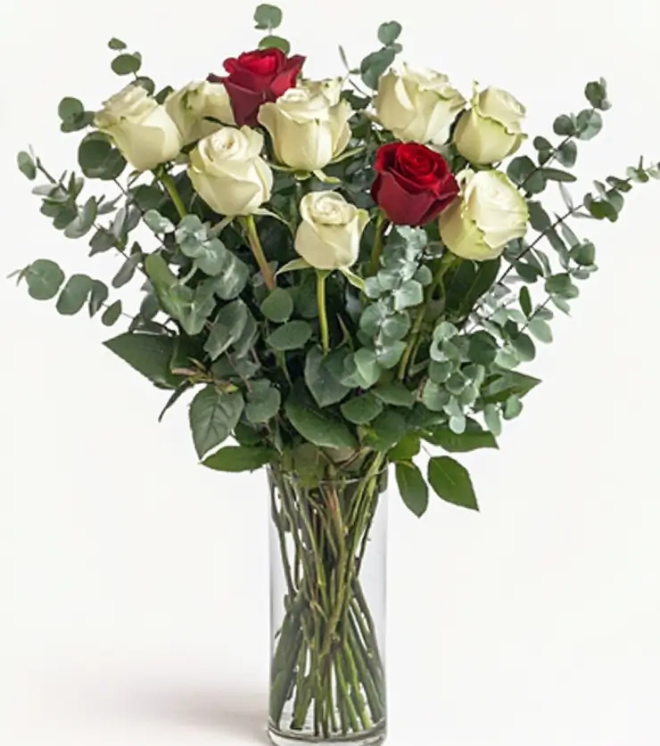 One Dozen White Roses