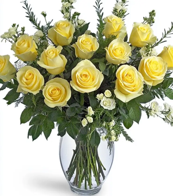 One Dozen Yellow Roses