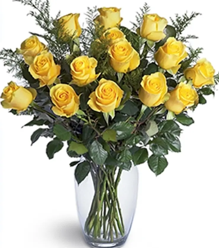 One Dozen Yellow Roses