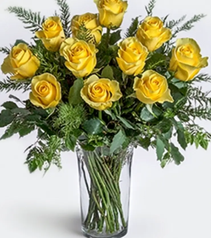One Dozen Yellow Roses