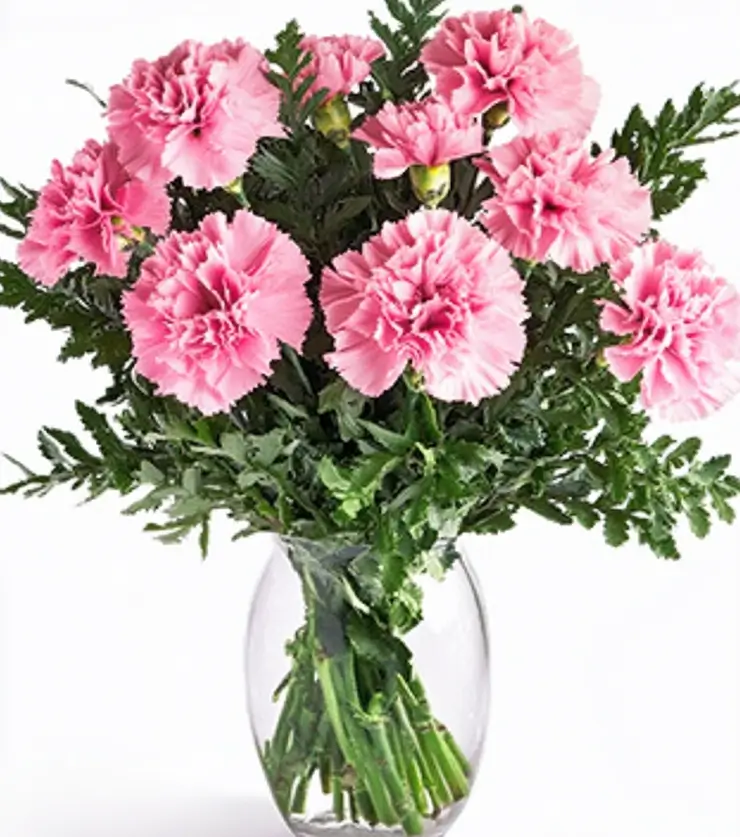 Perfect Pink Petals