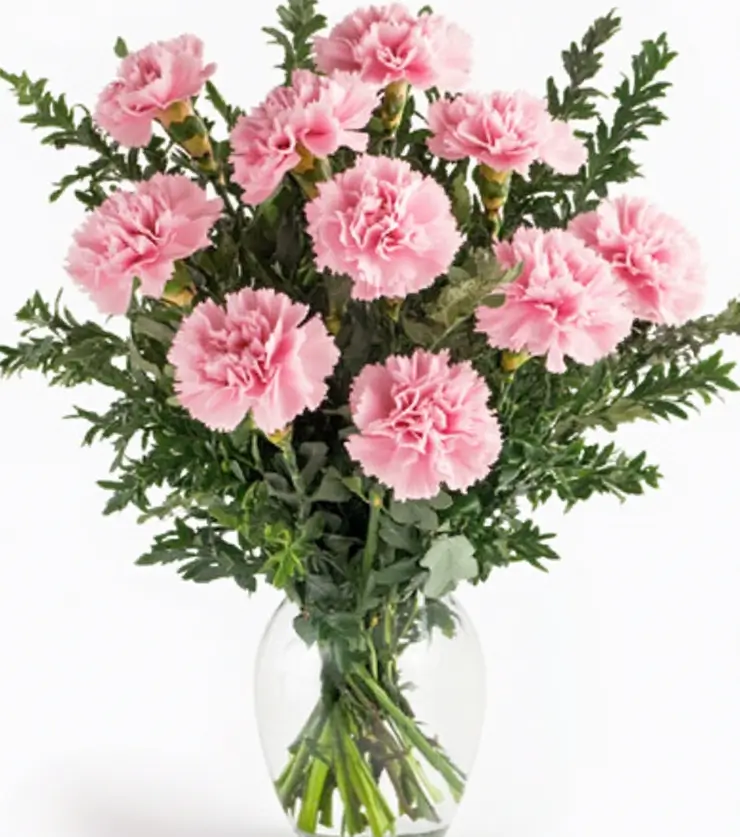Perfect Pink Petals