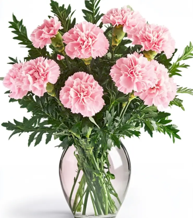 Perfect Pink Petals