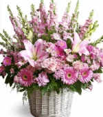 Pink Blossoms