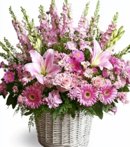 Pink Blossoms