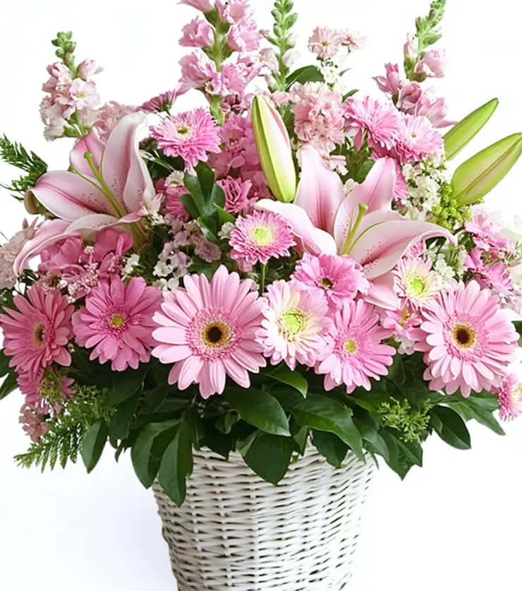 Pink Blossoms