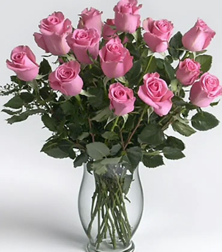 Pink Roses