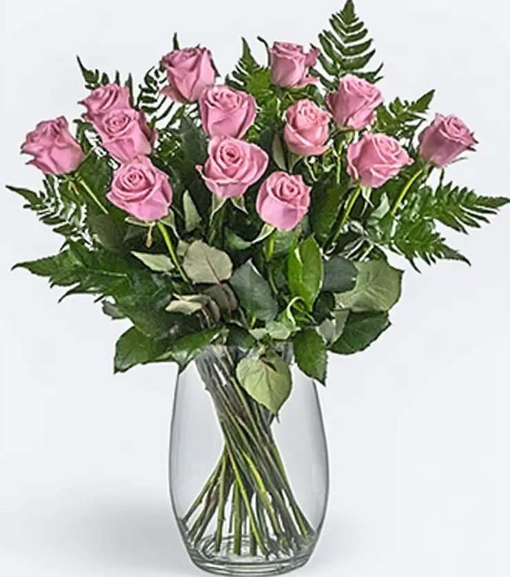 Pink Roses