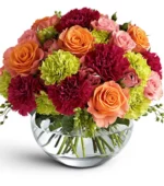 Radiant Blooms