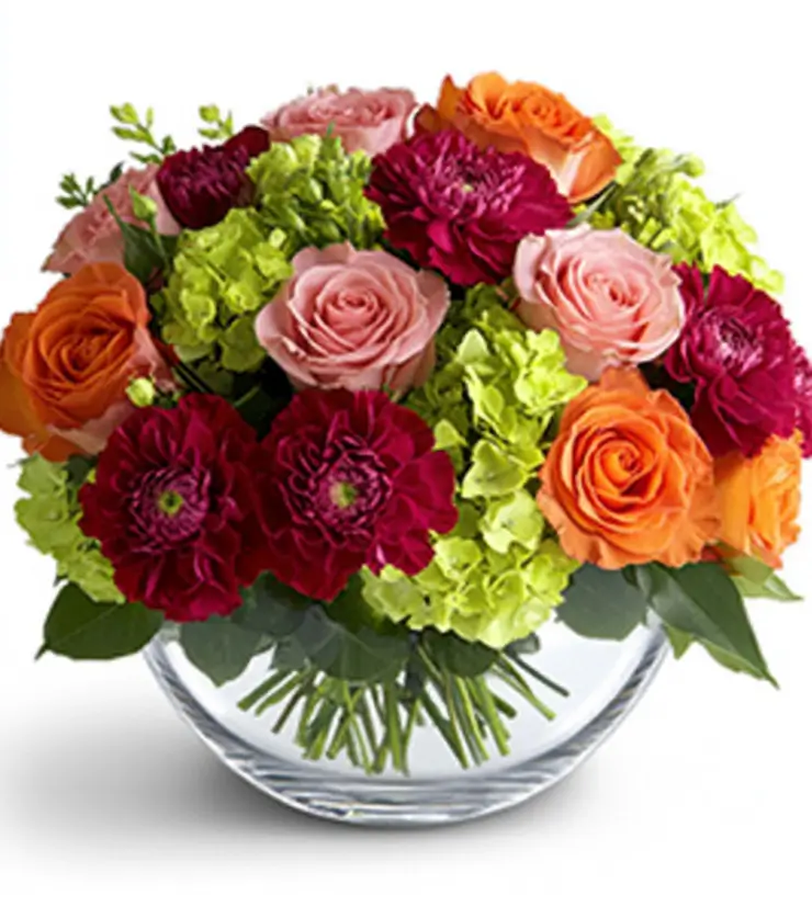 Radiant Blooms