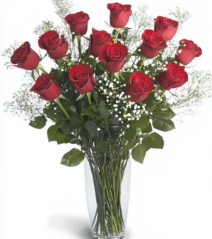 Red Roses