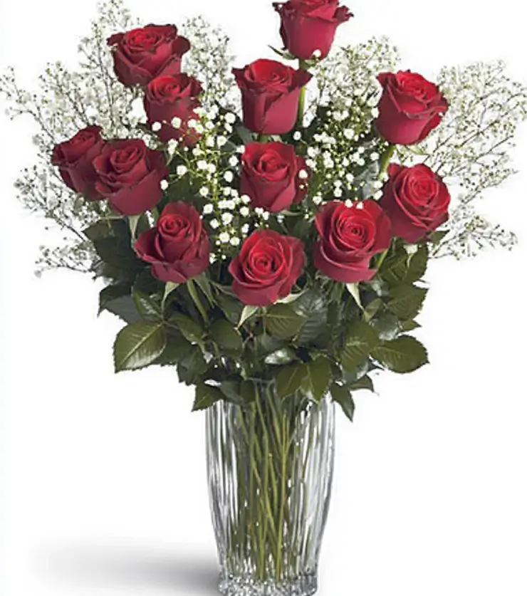 Red Roses