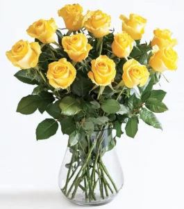 Thinking of You Roses