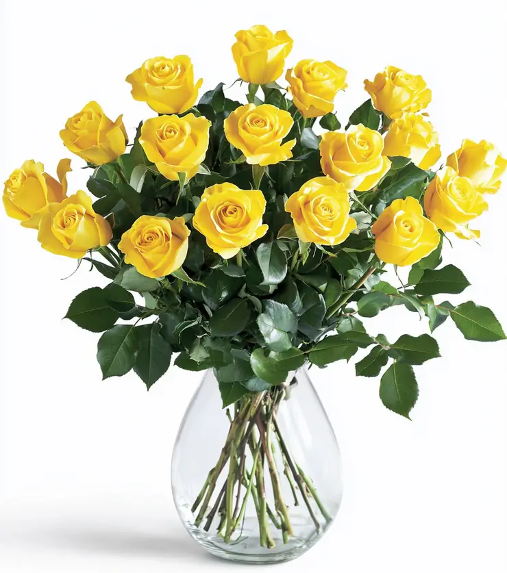 Thinking of You Roses
