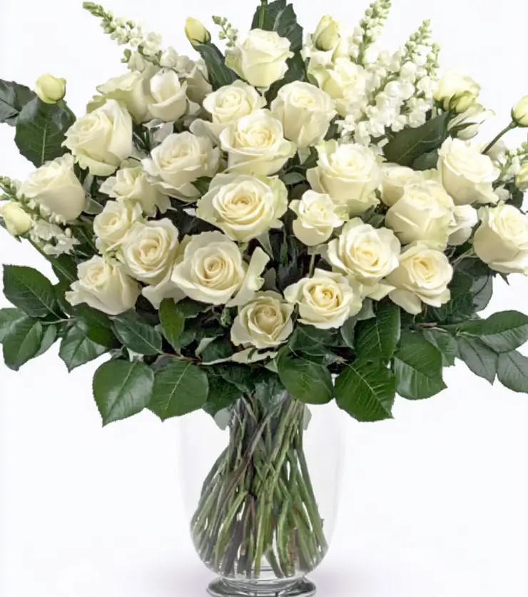 Timeless Beauty Roses