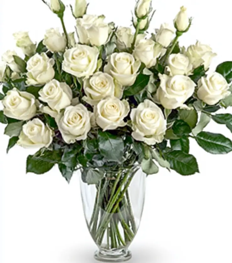 Timeless Beauty Roses