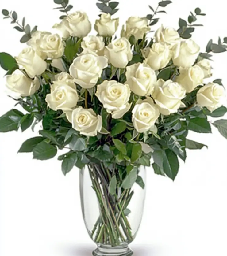 Timeless Beauty Roses
