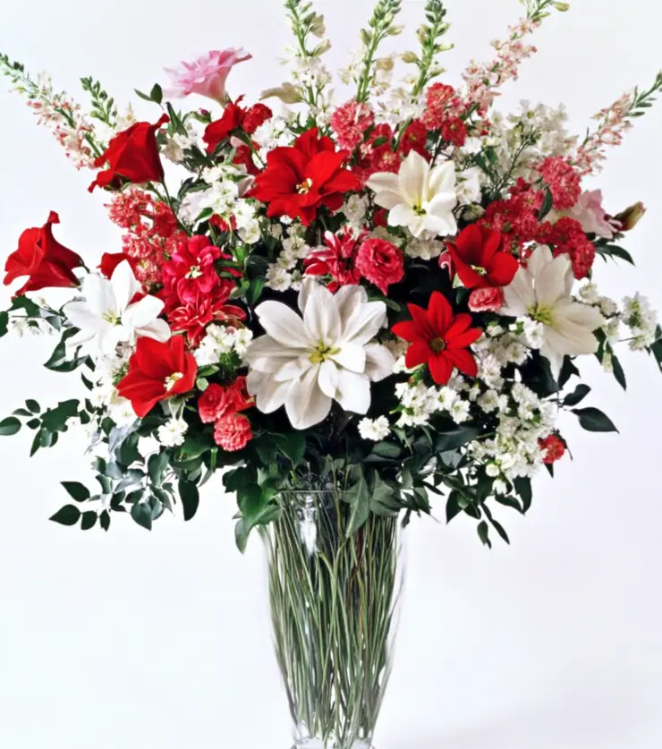 Vibrant Arrangement
