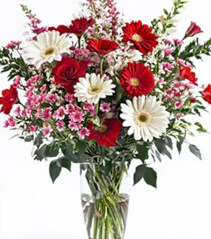 Vibrant Arrangement