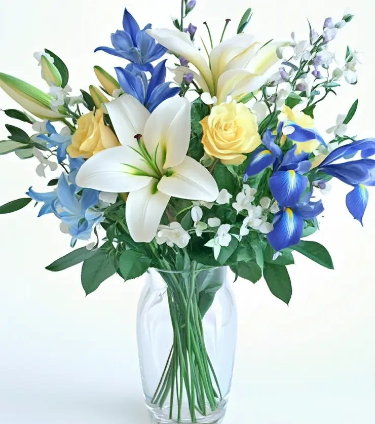 Vibrant Blooms