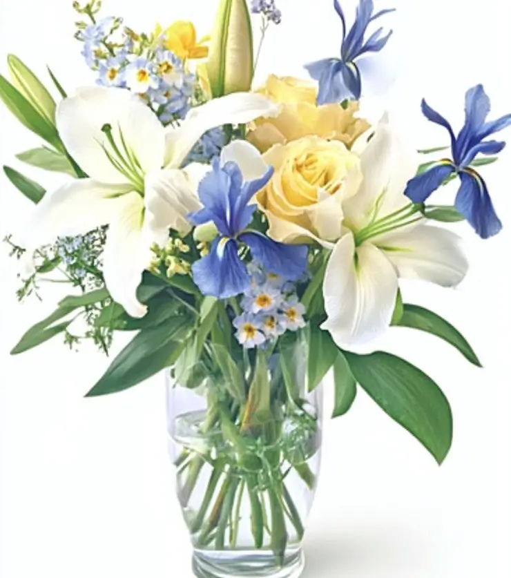 Vibrant Blooms