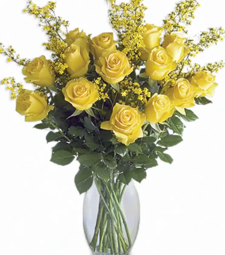 Yellow Roses